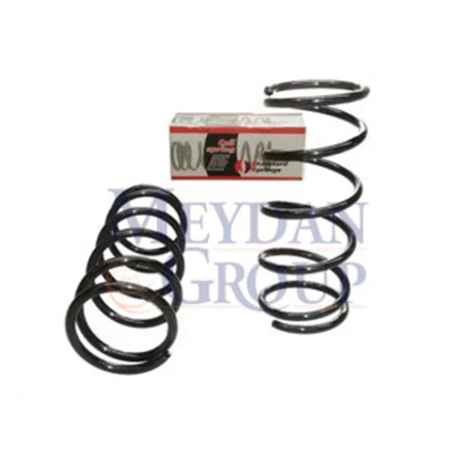 1319262080 Fiat Ducato- 02/06  Ön Helezon Yayı Sağ/Sol (2